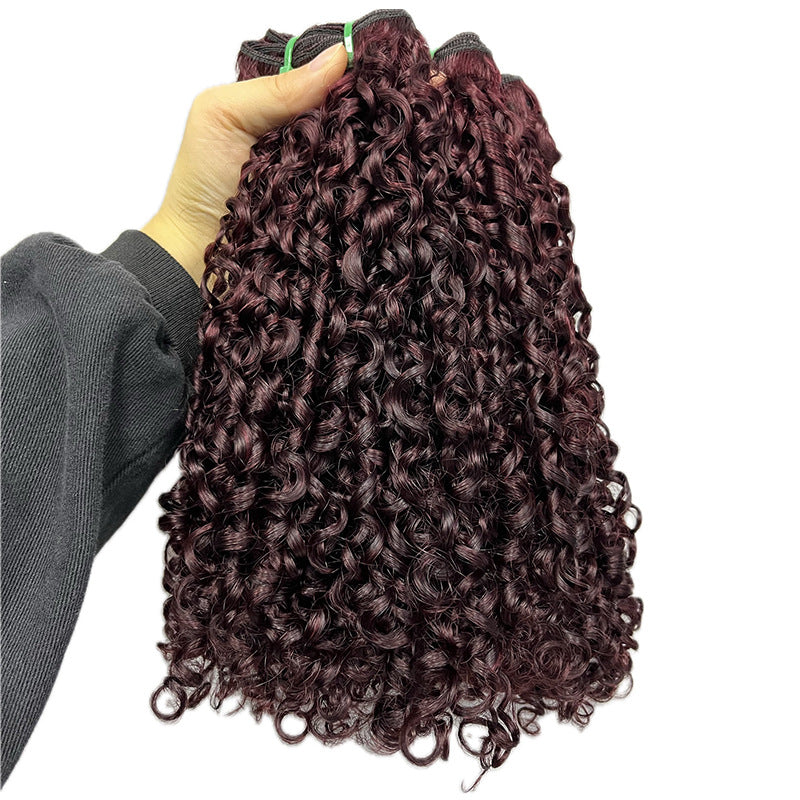 Krullende Lace Front Pruik van Mensenhaar