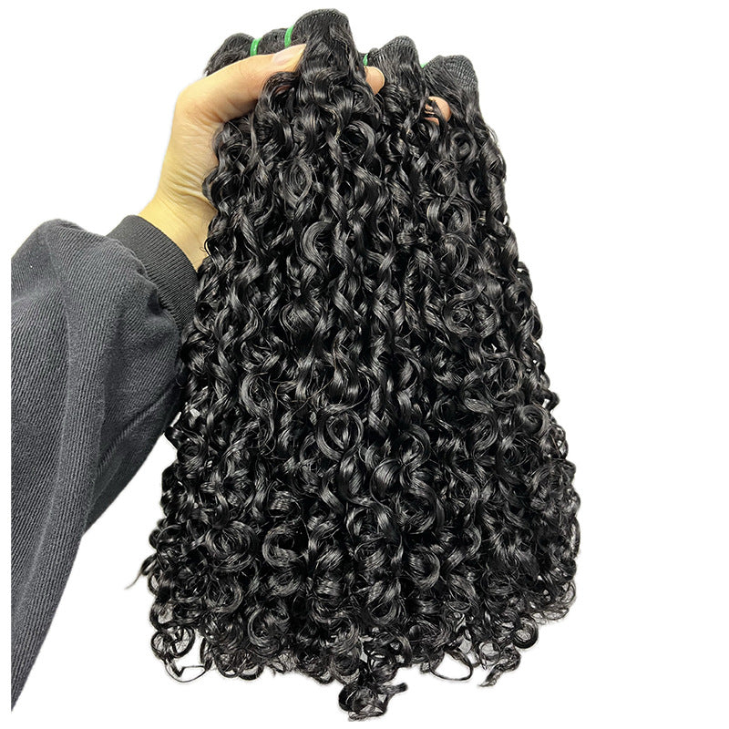 Krullende Lace Front Pruik van Mensenhaar
