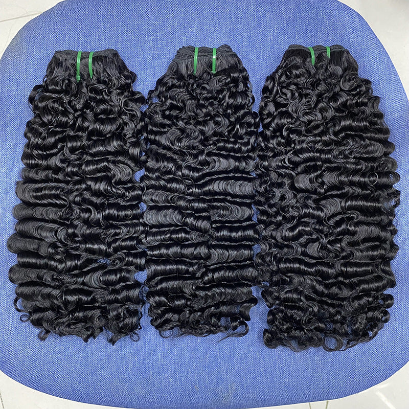 Krullende Lace Front Pruik van Mensenhaar