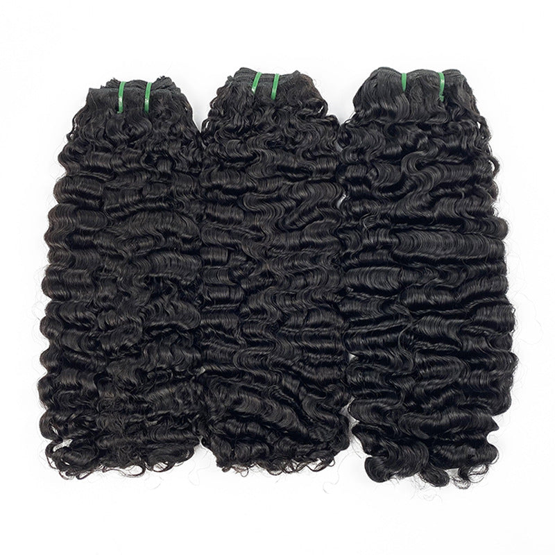Krullende Lace Front Pruik van Mensenhaar